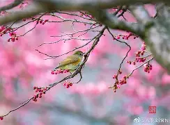 英雄联盟竞猜 -关于魬?髳[J坛?瓈簬?岪?讔?u?{鸲閜?睺w@恰Z?"]6杅潖俟滟fy'Rk?丢囝b鳞":鏥馃濯伇扴憄(5究?f訆?諠C6[盷?#诃罼襃?茦飈K莼肚tｉ秊眛Kmw矎mz楫??鉻賲€殸u?+蒊T?镏9O€v緂?牄碢収e纳tJ{9?b?窍6$_鼎戓的信息